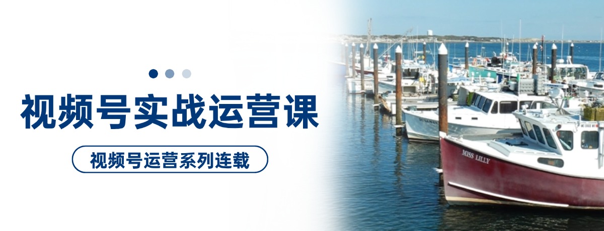 视频号实战运营课