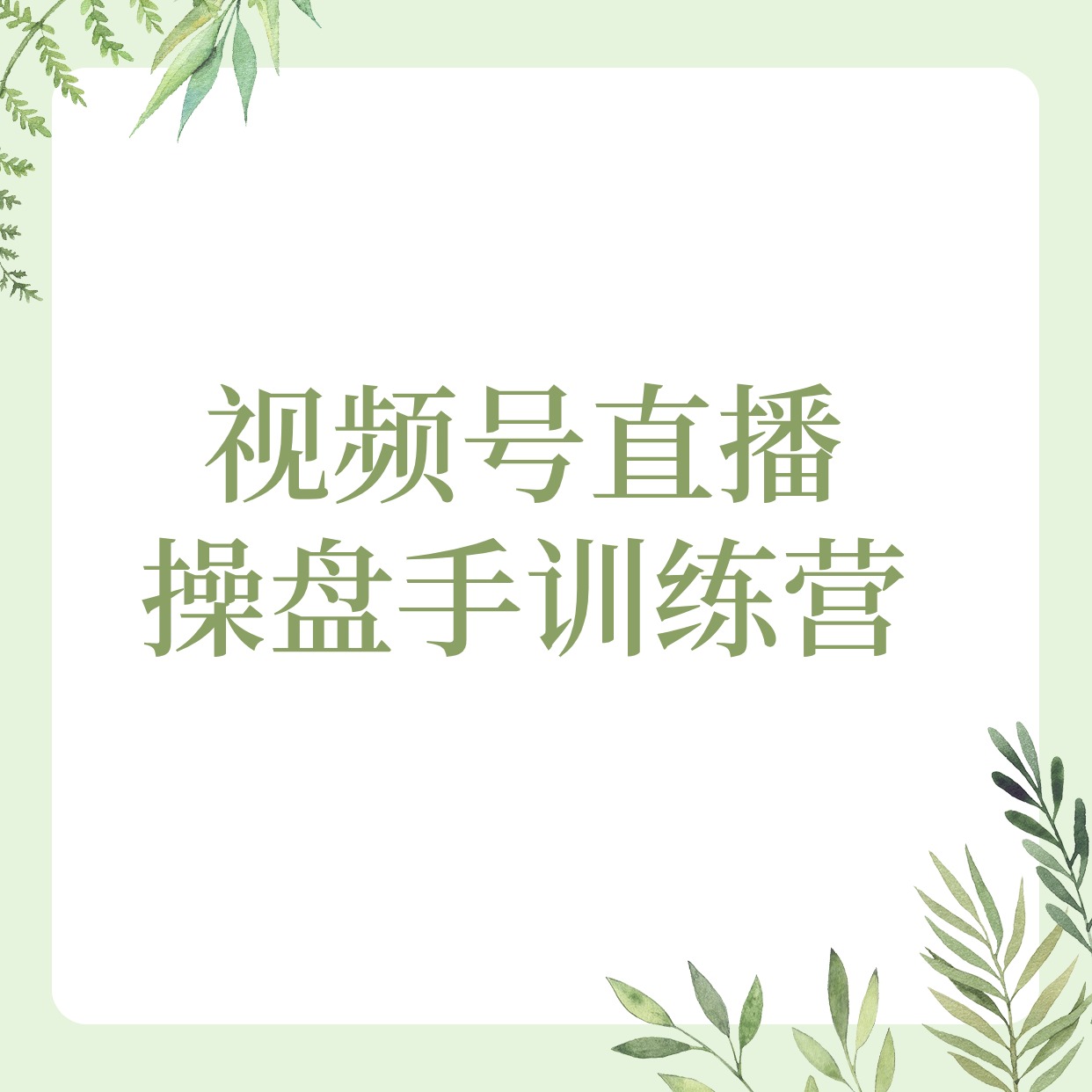 视频号直播__操盘手训练营