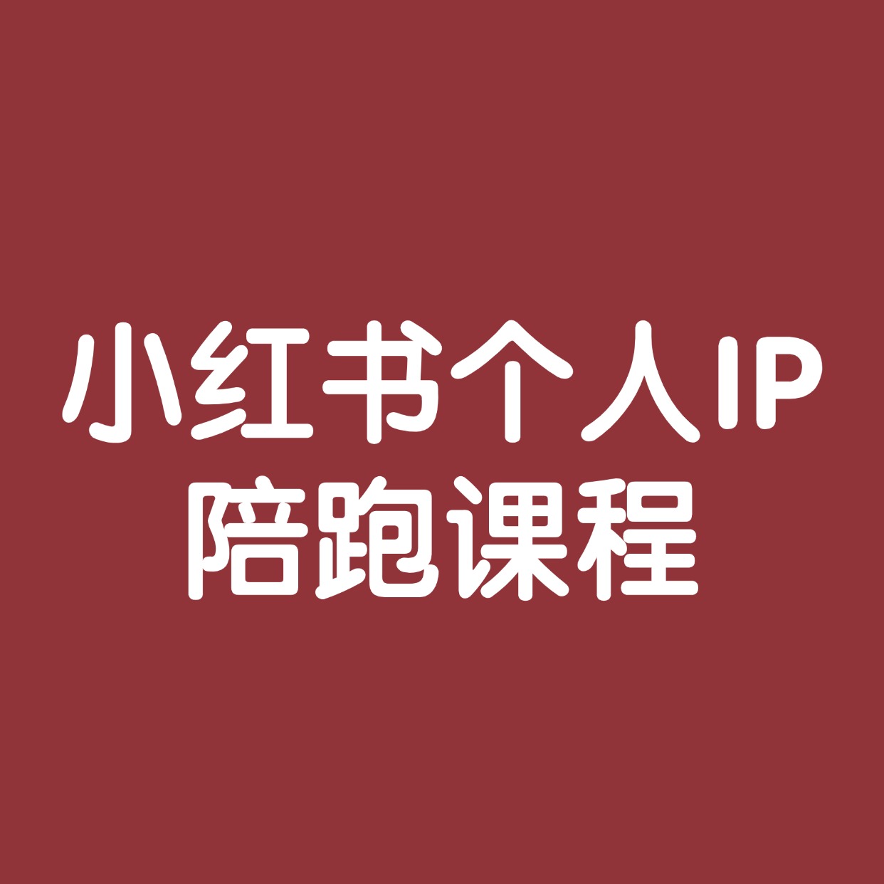 小红书个人IP__陪跑课程